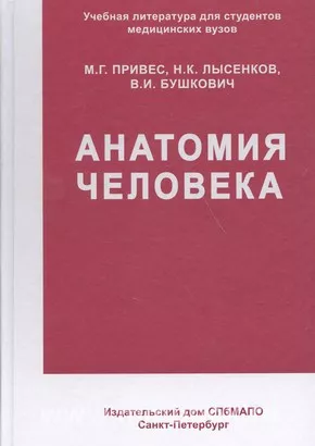 Горбунова И.Л. Клиническая анатомия зубов человека