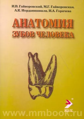 Клиническая анатомия зубов человека | Z-Library