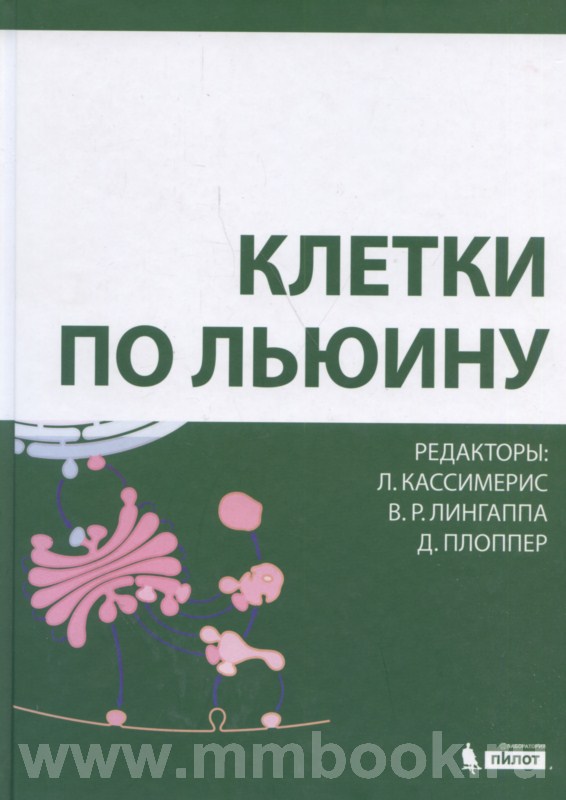 Клетки по Льюину