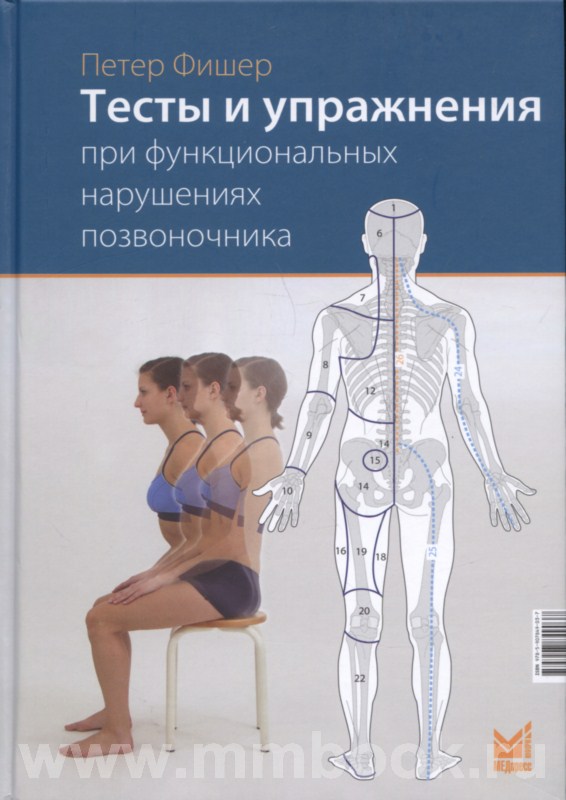 Тесты и упражнения при функциональных нарушениях позвоночника