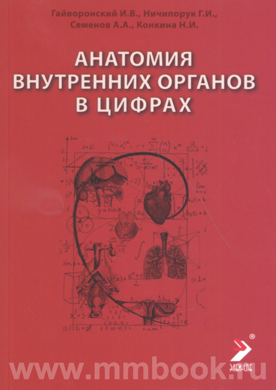Анатомия внутренних органов в цифрах