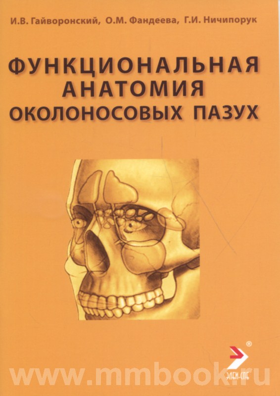 Функциональная анатомия околоносовых пазух