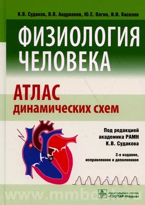 Тело человека. Анатомия и физиология.