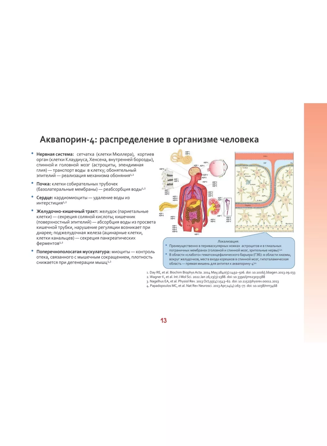 Оптиконевромиелит в фокусе. Практическое руководство в схемах и таблицах,  	Симанив Т.О., Краснов В.С., Касаткин Д.С., 978-5-98811-726-1