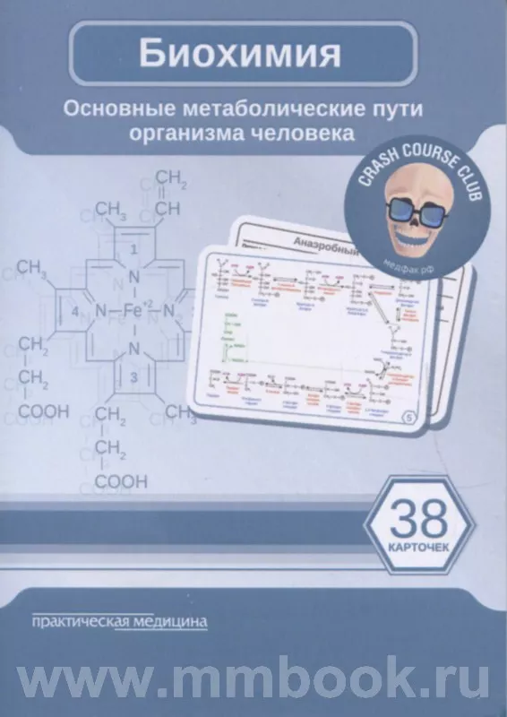 Читать книгу: «Сексуальность в цивилизации: социогенез сексуальности»