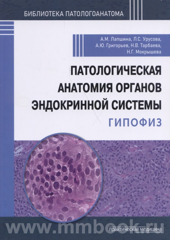 Патологическая анатомия органов эндокринной системы. Гипофиз