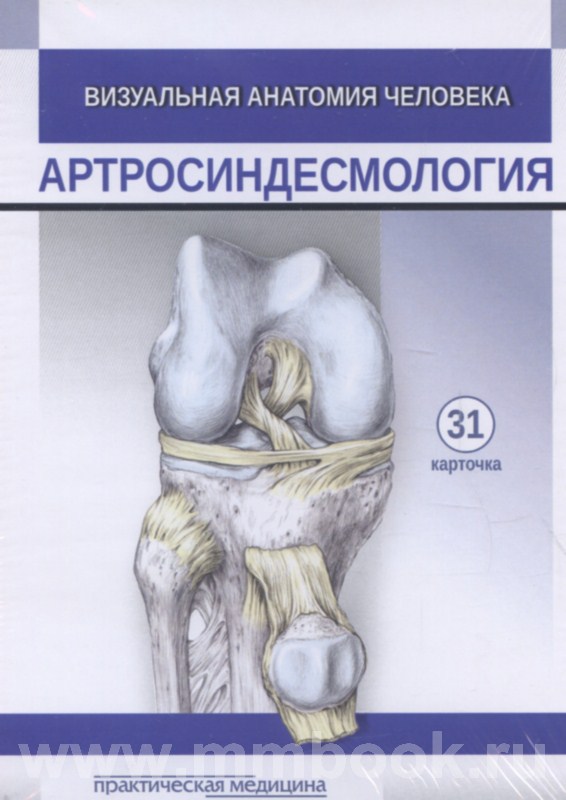 Визуальная анатомия человека. КАРТОЧКИ. Артросиндесмология (31шт.)